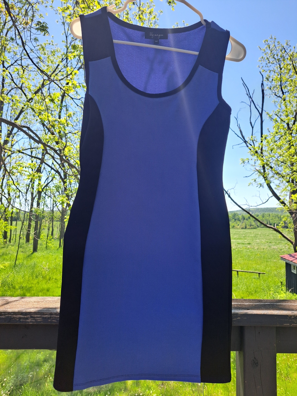 Blue & Black Sleeveless Mini Sheath Dress